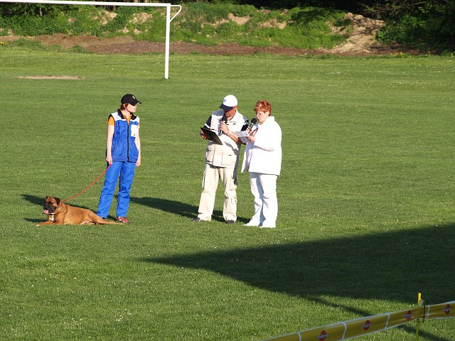 www.atibox.net * www.euroboxer.eu * www.boxergenealogia.eu